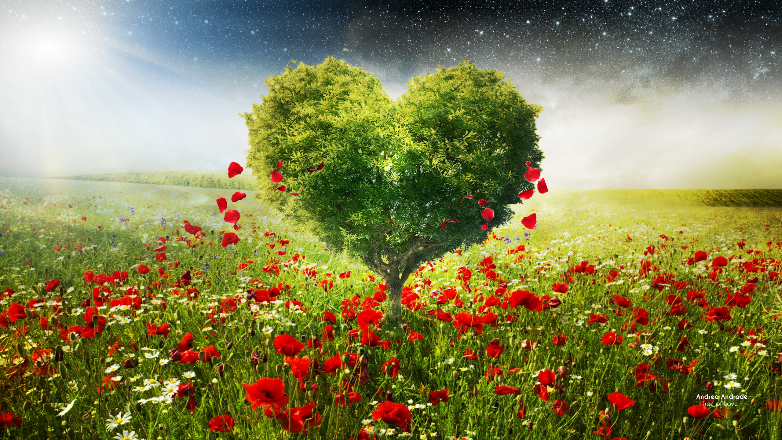 Green Love Heart Tree Poppies973246625